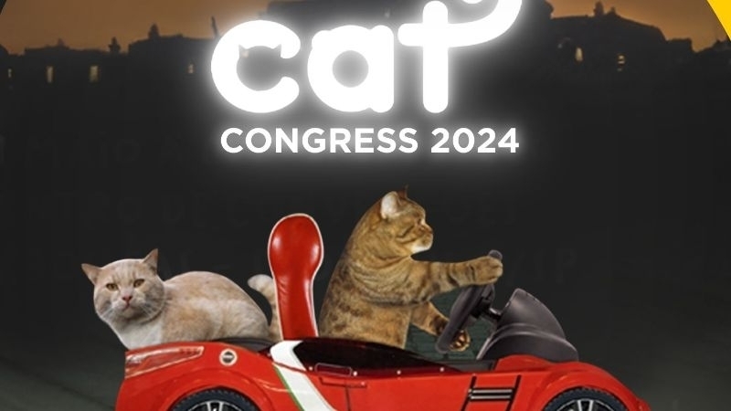 Cat Congress 2024